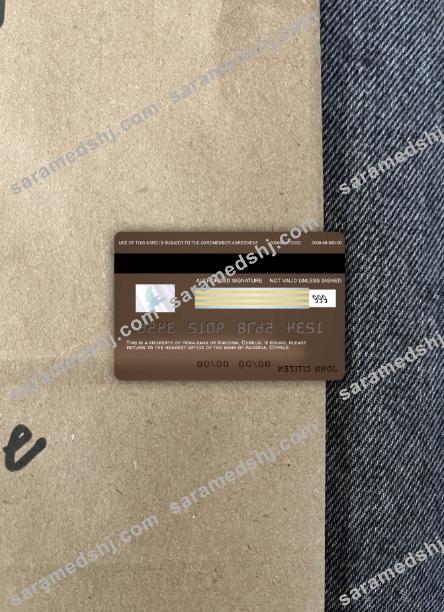 Cyprus Ancoria bank visa card photolook back